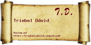 Triebel Dávid névjegykártya