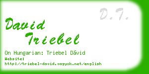 david triebel business card