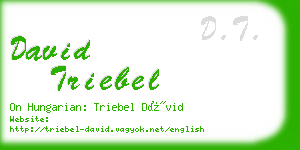 david triebel business card